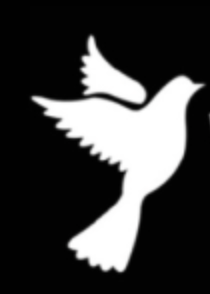 Weary Bird Records